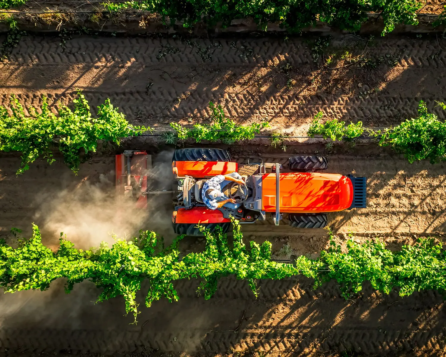 Utility Tractors (M60 and M4)