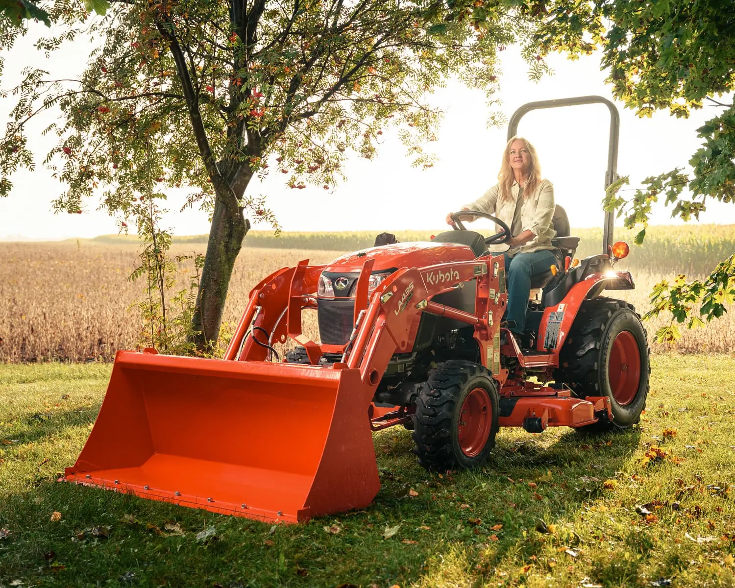Stand on Compact Loader